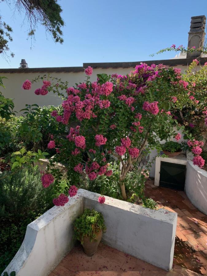 Il Geranio Bed and Breakfast Anacapri  Exteriör bild
