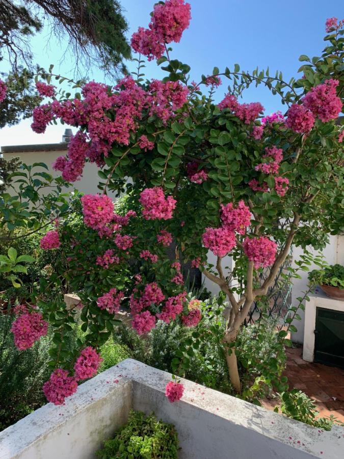 Il Geranio Bed and Breakfast Anacapri  Exteriör bild